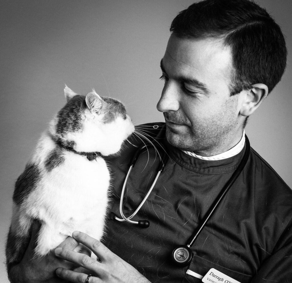 Veterinary Ramblings: Darragh O' Hanlon